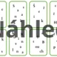 Jarní květiny - puzzle + pomíchané názvy květin 3