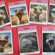 Animals and feelings septeto 3
