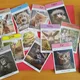 Animals and feelings septeto 2