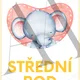 Rody a vzory podstatných jmen (téma zvířátka v ZOO) 6