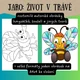 JARO - VELKOFORMÁTOVÉ OBRÁZKY HMYZÁČKŮ, OMALOVÁNKY 2