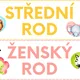 Vzory podstatných jmen (téma zvířátka v ZOO) 2