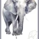 Výukové karty "ZVÍŘATA V ZOO" 3