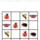 Hmyzí obrázkové sudoku 6