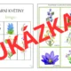 JARNÍ KVĚTINY - bingo (4 varianty využití + medaile) 3