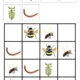 Hmyzí obrázkové sudoku 3