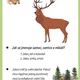 Bojovka o lese 4