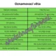 Running dictation - present simple 3
