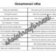 Running dictation - present simple 4