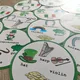 Saint Patrick's Day - postřehovka 3