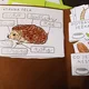 Lapbook o ježkovi 5