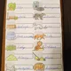 Lapbook o ježkovi 8