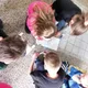 PRAVĚK - SKUPINOVÁ PRÁCE 2
