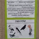 Jaro - pracovní listy - lapbook 11