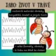 JARO - VELKOFORMÁTOVÉ OBRÁZKY HMYZÁČKŮ, OMALOVÁNKY 5