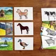 KDE ŽIJÍ ZVÍŘATA - karty 2