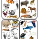 Hledej! Zvířata v Zoo 2