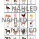 Mother's Day - Animal mothers & their babies 2