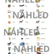ANIMALS (flashcards, vocabulary, postřehovka, pairs, I have...Who has?) 3