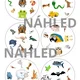 ANIMALS (flashcards, vocabulary, postřehovka, pairs, I have...Who has?) 7