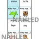 I have...who has? ANIMALS 3