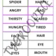 Flashcards 1 6