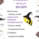 ČARODĚJNICE - aktivity pro Bee-Bot 2