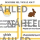 Easter activities 4