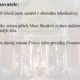 Uhodni literární pojem pomocí indicií - soutěž pro SŠ i ZŠ  3