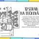 DEN ZEMĚ - TEČKOVÁNÍ  5