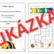 TŘÍDĚNÍ ODPADU - aktivity pro BEE-BOT 3