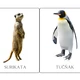 EXOTICKÁ ZVÍŘATA, ZOO - Demonstrační obrázky 2