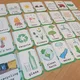 Flashcards - Earth Day 2
