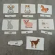 Vocabulary - animals - sada 4
