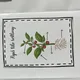 Lapbook - rostliny 6