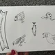 Lapbook - živočichové 7