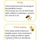 Centra aktivit - Světový den včel 20.5. 3