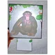 ZOO, Exotická zvířata - prosvětlovací obrázky 2