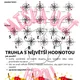 ÚNIKOVÁ HRA-PIRÁTI-CESTA ZA POKLADEM (matematika, skupinová práce) - 4./5. třída 5