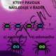 Čarodějnická stezka 4