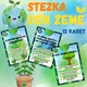DEN ZEMĚ - STEZKA 2