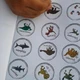 Dinobojovka po stopách dinosaurů 3