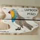 Lapbook - ptáci 5