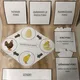 Lapbook - ptáci 6