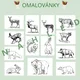 LESNÍ ZVÍŘATA - demonstrační obrázky + omalovánky 6