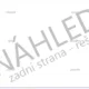 Co přebývá? Vyjmenovaná slova, slova příbuzná 3