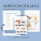Mořští živočichové - soubor aktivit 2