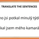 PAST SIMPLE SENTENCES FOR TRANSLATION 2