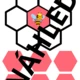 Včely 4