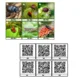 Matematická hledačka QR kódy II. 2